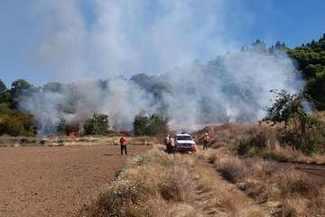 Conato de incendio en Valleseco/TA.