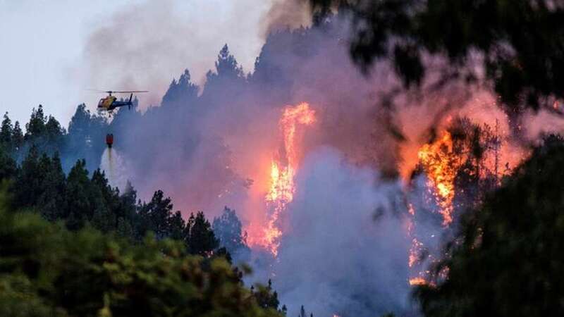 Imagen de un incendio forestal en Gran Canaria/TA.