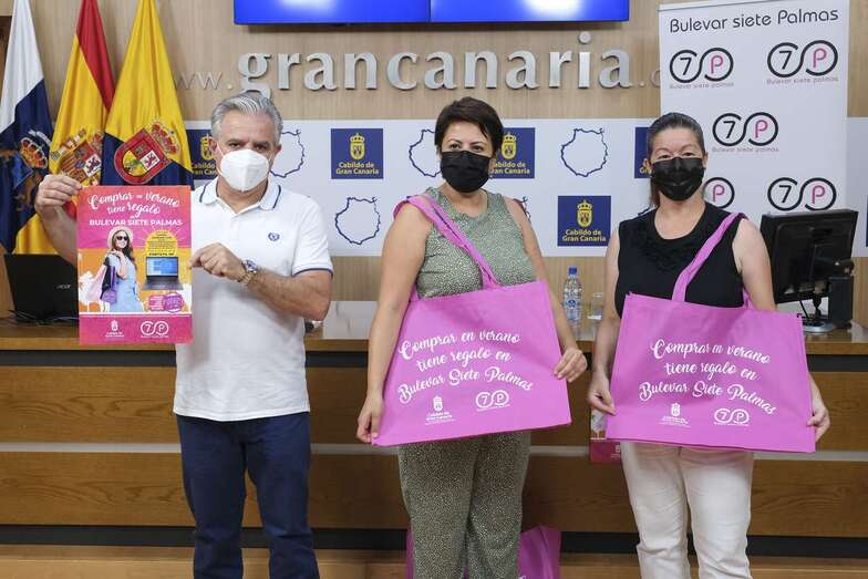 La consejera insular Minerva Alonso (c) durante la presentación de la campaña este martes/TA.