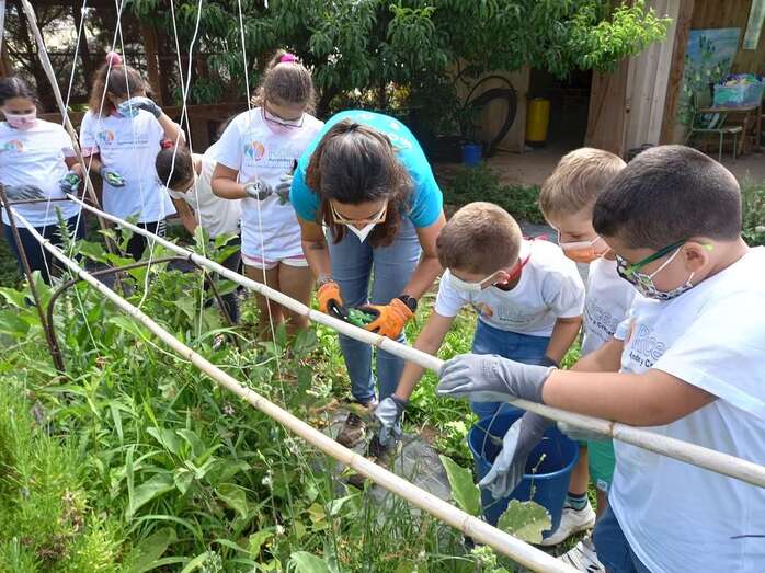 Escolares en la granja/TA.
