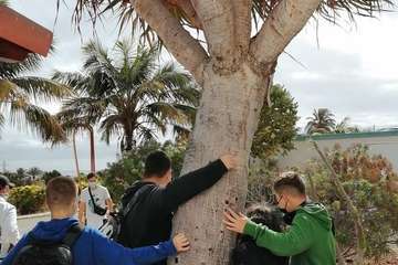 Escolares de Telde y de toda la Isla conocen el sistema agrario en las visitas a la Granja Agrícola del Cabildo/MJC Ambiental.