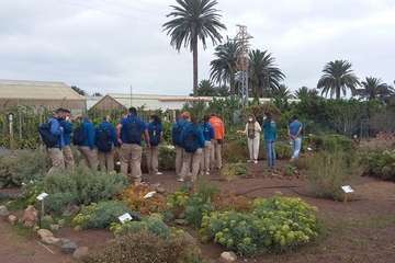 Escolares de Telde y de toda la Isla conocen el sistema agrario en las visitas a la Granja Agrícola del Cabildo/MJC Ambiental.
