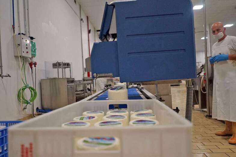 Imagen de archivo de las instalaciones de Lomo Gallego en Telde / TA