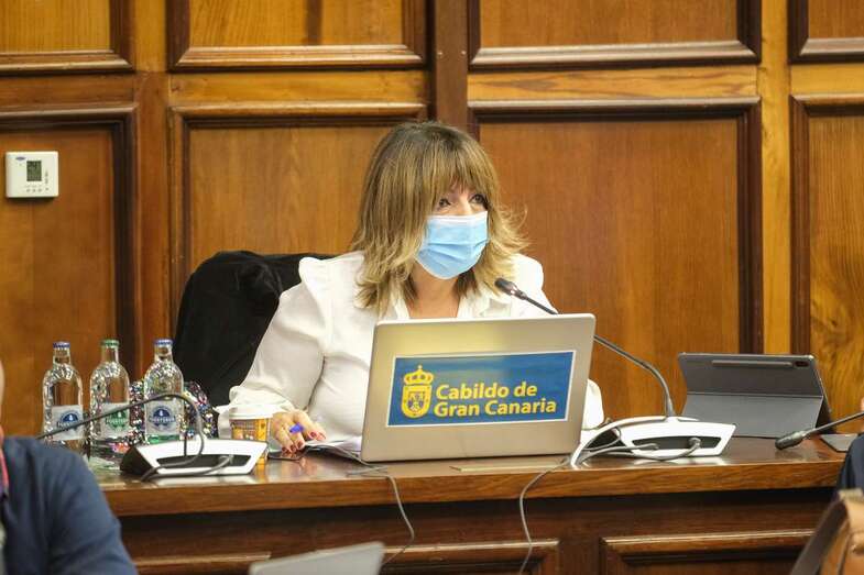 Gloria Cabrera, en el Pleno del pasado viernes/TA.
