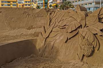 Reportaje gráfico Antonio Rico