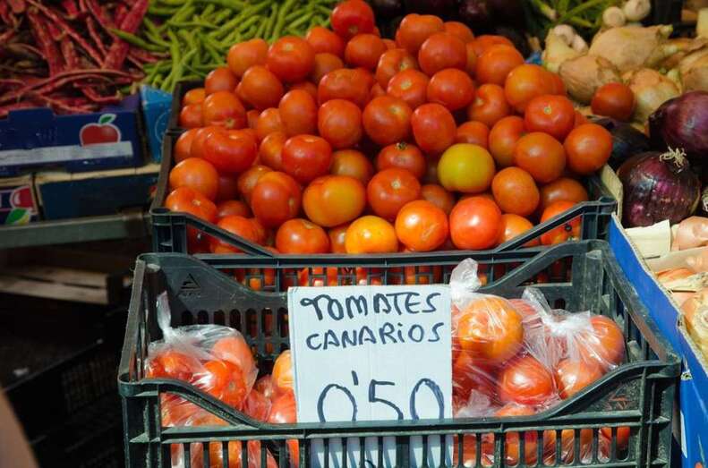 Tomates canarios/TA.
