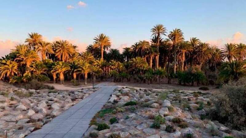 Imagen de archivo del parque Toni Gallardo / C7