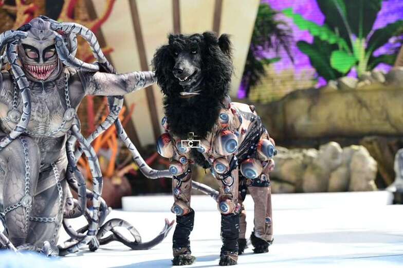 Felisa Svensson con su caniche gigante con el diseño Apocalipsis/LPcarnaval.