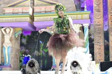 Carnaval canino de Las Palmas de Gran Canaria/Lpcarnaval.