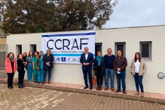 El Albergue Insular de Animales duplica el número de operaciones de esterilización/TA.