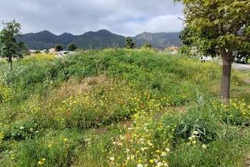 Reportaje gráfico Jesús Ruiz