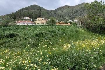 Reportaje gráfico Jesús Ruiz