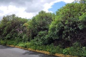 Reportaje gráfico Jesús Ruiz