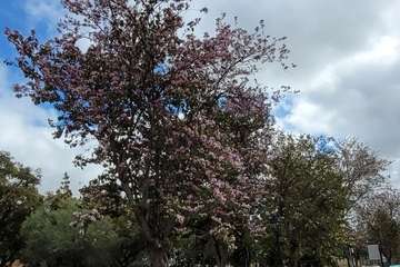 Reportaje gráfico Jesús Ruiz