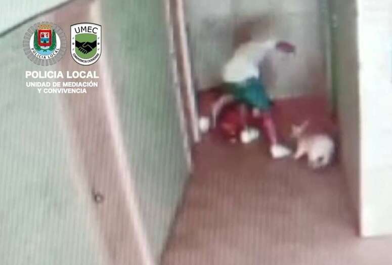 Imagen cedida por la Policía Local de LPGC.