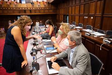Debate sobre la orientación general de la política insular/TA.
