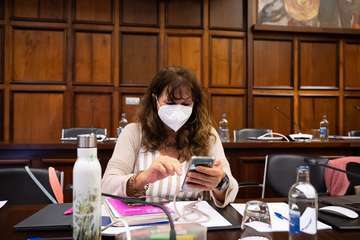 Debate sobre la orientación general de la política insular/TA.