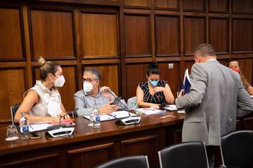 Debate sobre la orientación general de la política insular/TA.