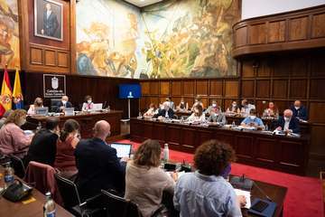 Debate sobre la orientación general de la política insular/TA.