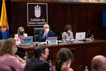 Debate sobre la orientación general de la política insular/TA.