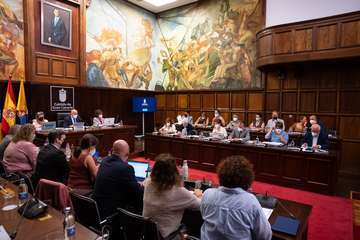 Debate sobre la orientación general de la política insular/TA.