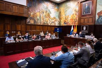 Debate sobre la orientación general de la política insular/TA.