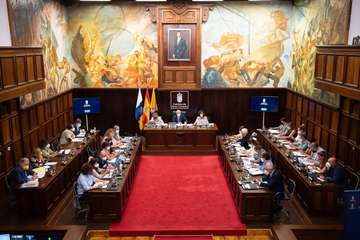 Debate sobre la orientación general de la política insular/TA.