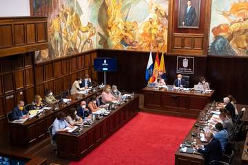 Debate sobre la orientación general de la política insular/TA.