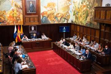 Debate sobre la orientación general de la política insular/TA.