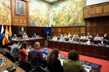 El Pleno del Cabildo aprueba 36 propuestas para seguir afrontando los retos de futuro de Gran Canaria/TA.