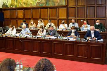 El Pleno del Cabildo aprueba 36 propuestas para seguir afrontando los retos de futuro de Gran Canaria/TA.