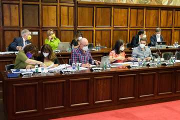 El Pleno del Cabildo aprueba 36 propuestas para seguir afrontando los retos de futuro de Gran Canaria/TA.