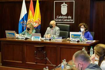 El Pleno del Cabildo aprueba 36 propuestas para seguir afrontando los retos de futuro de Gran Canaria/TA.