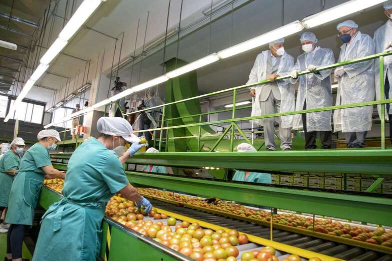 Se enmarca en el Plan Estratégico del Sector Primario de Gran Canaria / TA