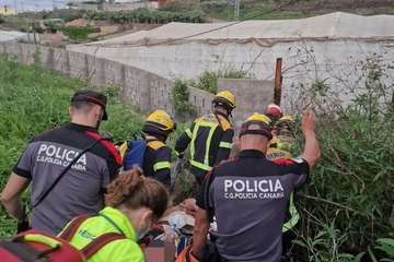 Un conductor grave al precipitarse a un estanque sin agua/TA.