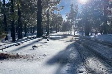 Nieva en la cumbre de Gran Canaria/TA.