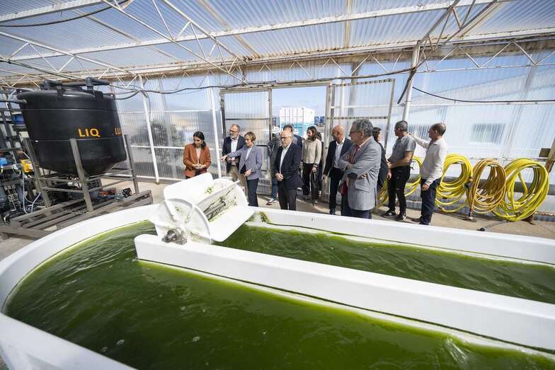 El presidente insular pone relieve que, en estos momentos, Gran Canaria cuenta con propuestas de inversión en materia de acuicultura que rondan los 400 millones de euros / TA
