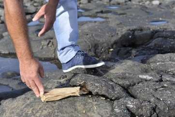 Costra de chapapote en Jinámar (Foto Gerardo Montesdeoca/C7)