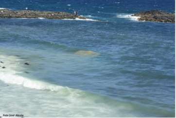 Zona de Bocabarranco, en Telde, donde se producen los vertidos (Foto José Alzola)