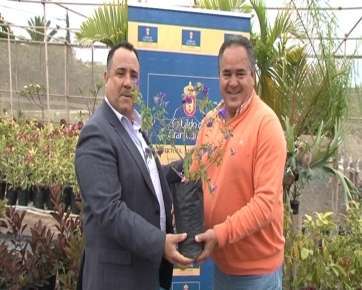 El concejal de Parques y Jardines, Agustín Pérez, recibe una remesa de árboles de mano del consejero Francisco Santana (Foto TA)