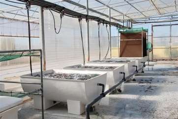 Instalaciones del Banco Español de Algas en Taliarte (Foto TA)