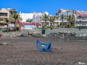 Plaga de medusas en Salinetas (Foto Antonio Rico)