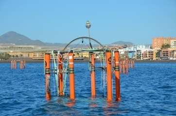 La costa de Telde alberga un experimento para estudiar los efectos del cambio climático en el océano (Foto TA)