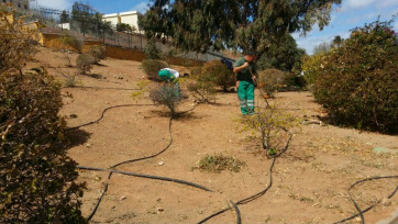 Operarios trabajan en el adecentamiento de las laderas del parque (Foto TA)