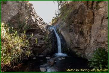 Barranco de Los Cernícalos (Foto Ildefonso Rodríguez)