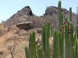 Ruta de volcanes de Jinámar (Foto TA)