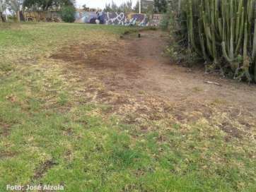 Parque de la Condesa (Foto José Alzola)