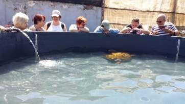 El grupo visitó el Instituto Canario de Ciencias Marinas (Foto TA)