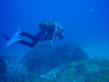 Imagen de una anterior limpieza de fondos marinos en el litoral teldense (Foto TA)