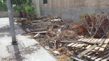 Estado de la zona de Eucaliptus II